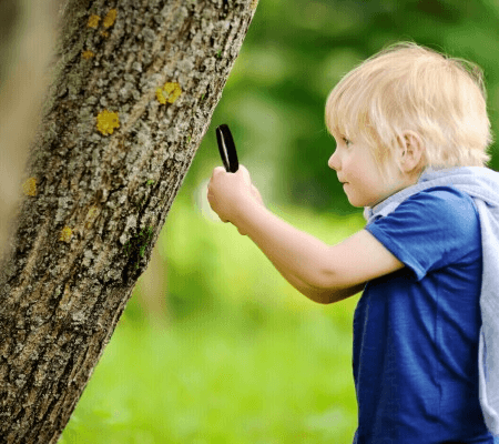 The Centre For Positive Behaviour Support (Cpbs)