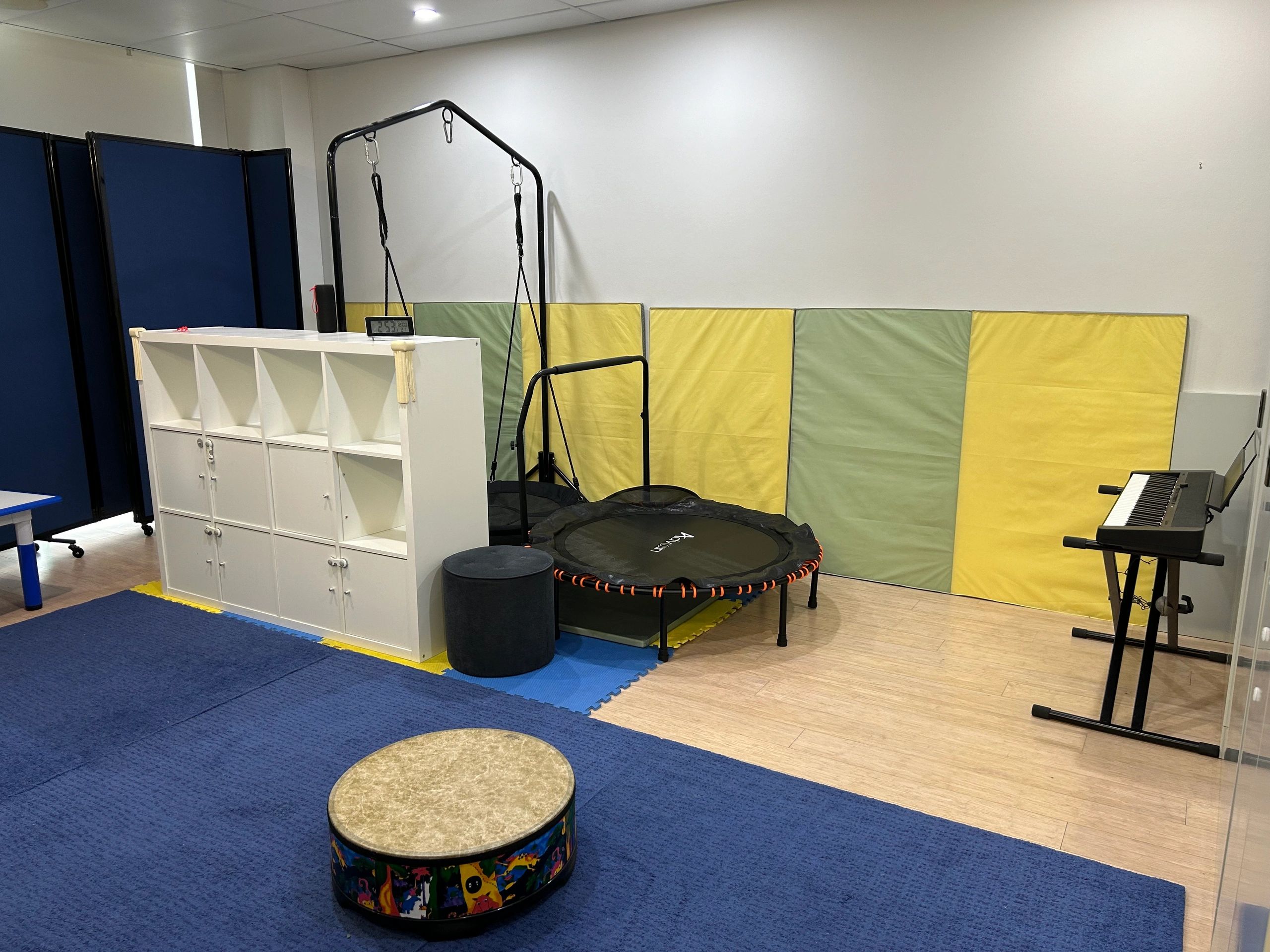 Harmony Direct Therapy Occupational Therapy and Music Therapy