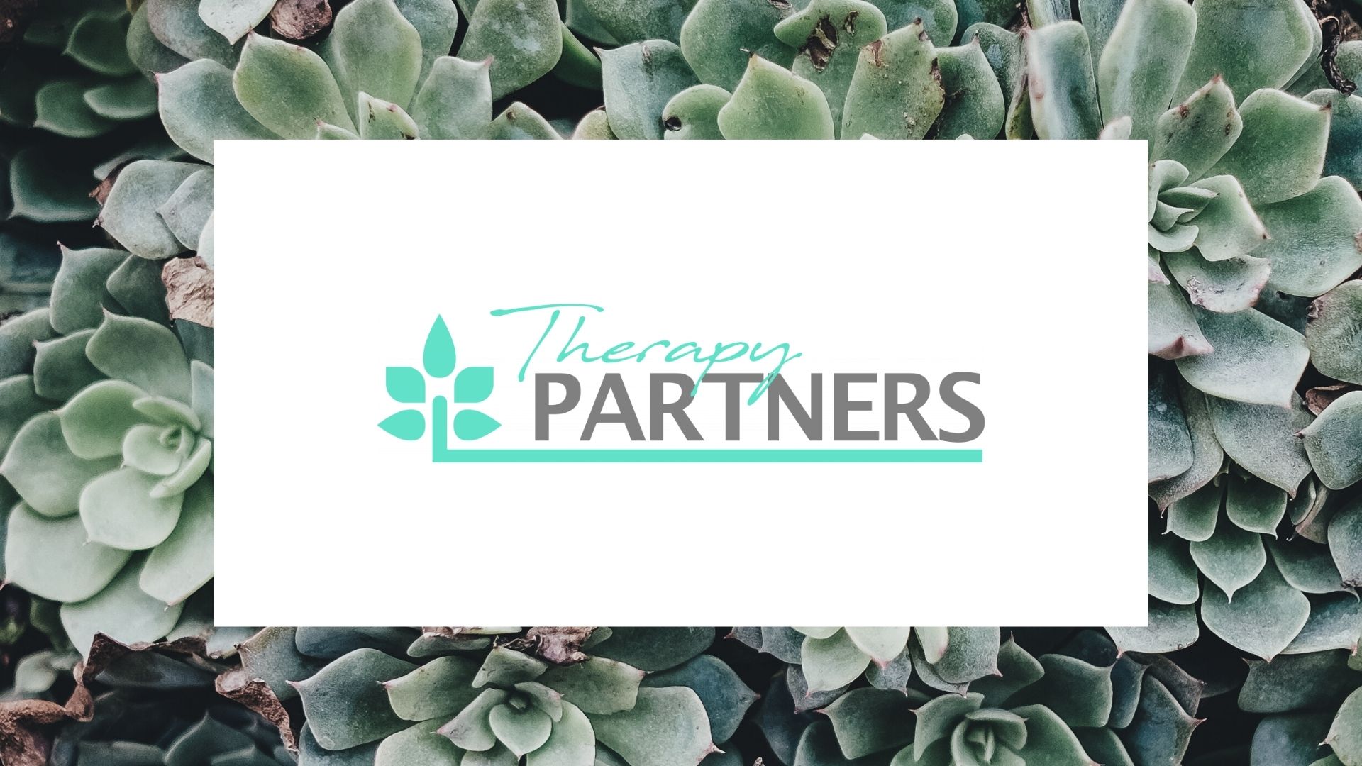 Therapy Partners
